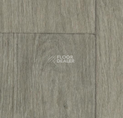 Линолеум Forbo SureStep Wood 18832 grey oak фото 1 | FLOORDEALER